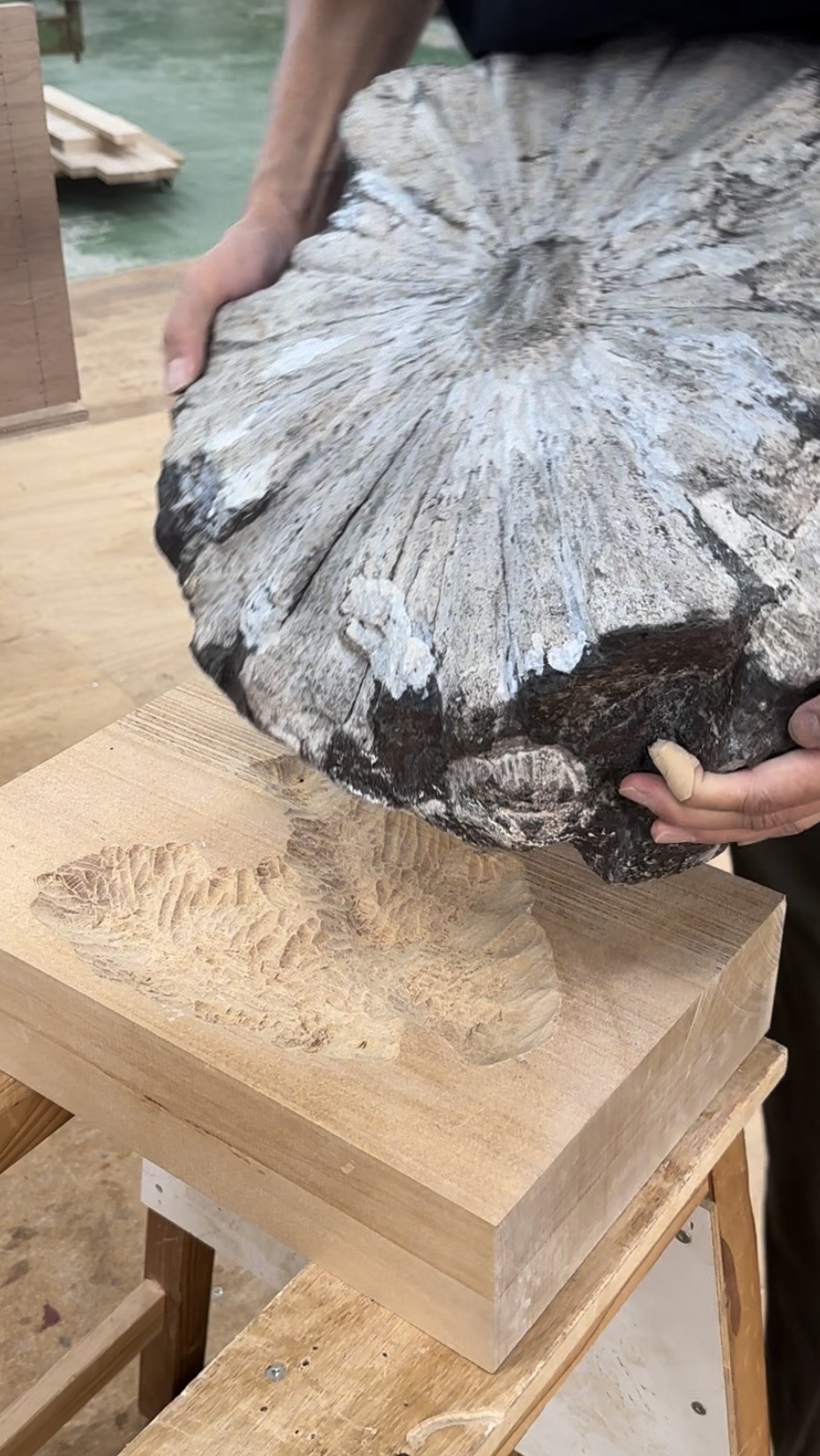 化石をかっこよくディスプレイ 手彫りでつくるオーダーメイド家具